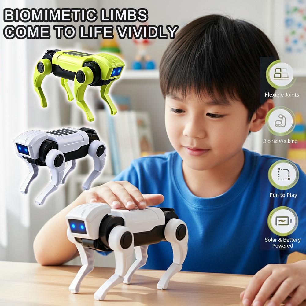 Diy Robot Electronics Kit - DIY Montage RC Roboterhund Spielzeug Ferngesteuerter
